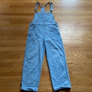 Levi Strauss & co. No Stone Unturned Women’s overalls.